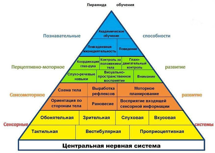 Как спорт влияет на умственное развитие ребенка