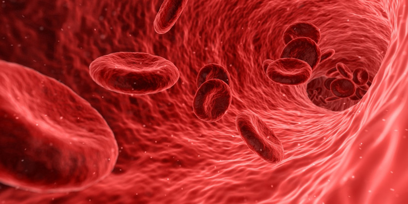 Эозинофилы в крови аллергия на