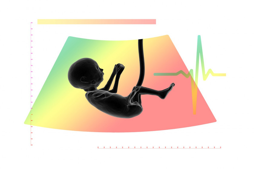 Ктр эмбриона по неделям беременности таблица