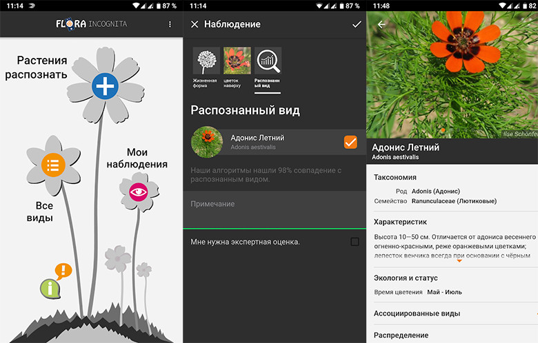 Программа распознавания растений по фото для андроид