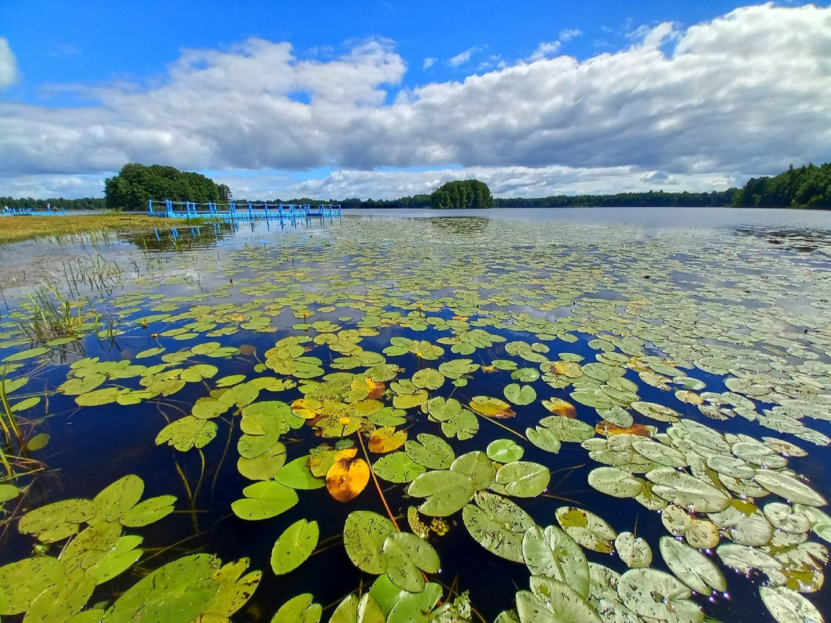 Озеро Нарочь, Беларусь
